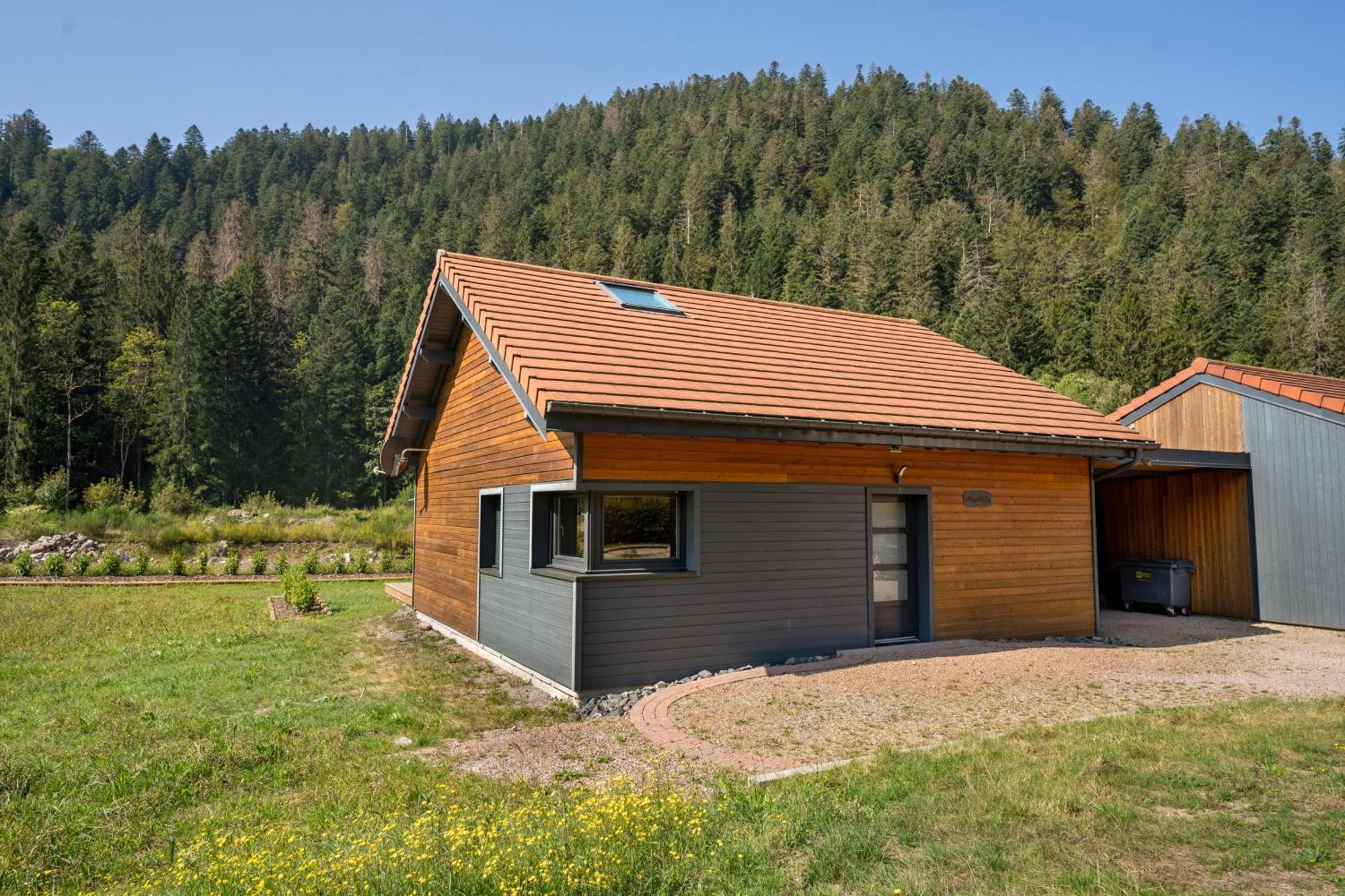 Chalet Nemesia Avec Spa A Gérardmer Extérieur photo